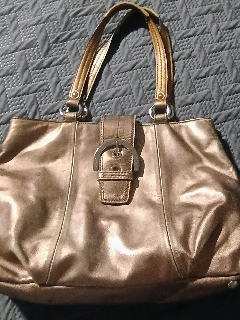 Coach 2012 Soho Metallic Bag